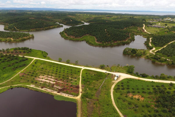 Water Catchment