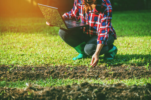 Agronomic Management